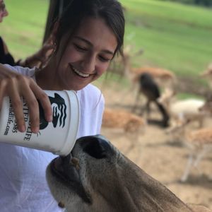 Meet your Posher, Paige